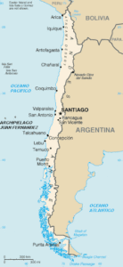 Juania_Australis-Chile-palmasenresistencia Juania_Australis-Chile-palmasenresistencia