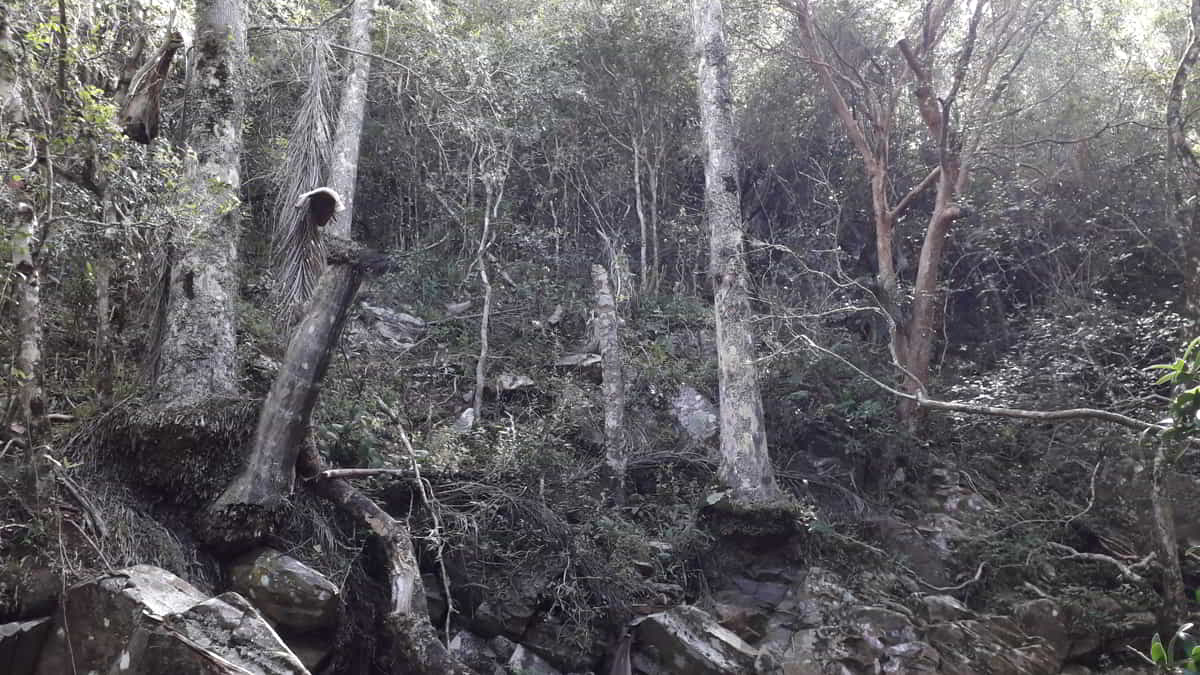 Quebrada de los cuervos - palmasenresistencia.com